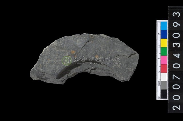 石環製作材料－中央帶啄孔與旋截痕打製圓板殘件