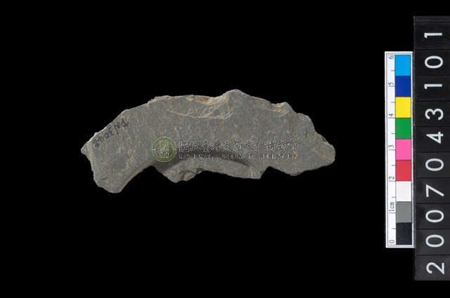 石環製作材料－中央帶啄孔與旋截痕打製圓板殘件