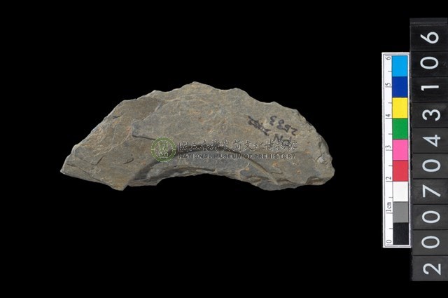 石環製作材料－中央帶啄孔與旋截痕打製圓板殘件