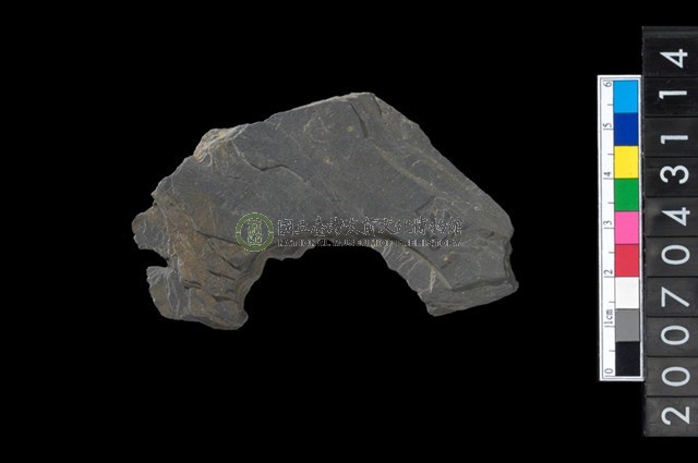 石環製作材料－中央帶啄孔與旋截痕打製圓板殘件