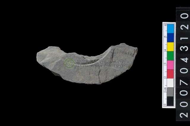 石環製作材料-中央帶啄孔與旋截痕打製圓板殘件