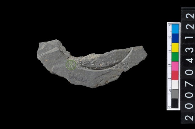 石環製作材料-中央帶啄孔與旋截痕打製圓板殘件