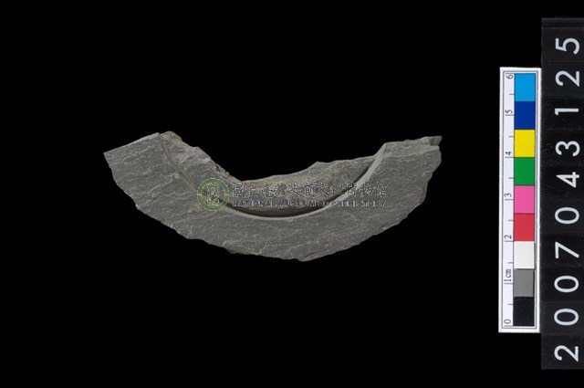 石環製作材料-中央帶啄孔與旋截痕打製圓板殘件