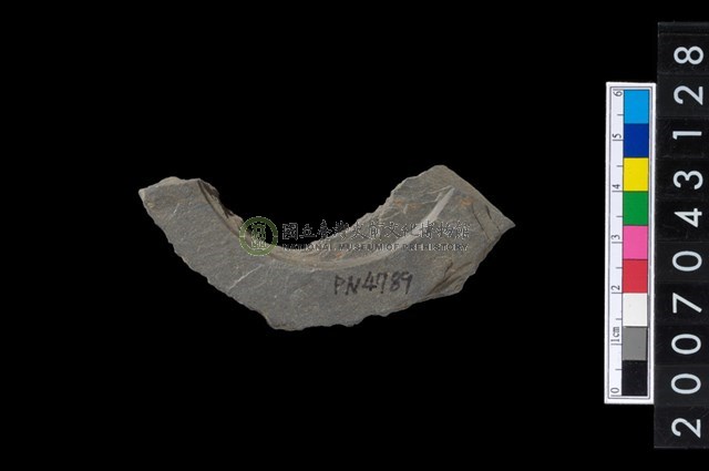 石環製作材料-中央帶啄孔與旋截痕打製圓板殘件