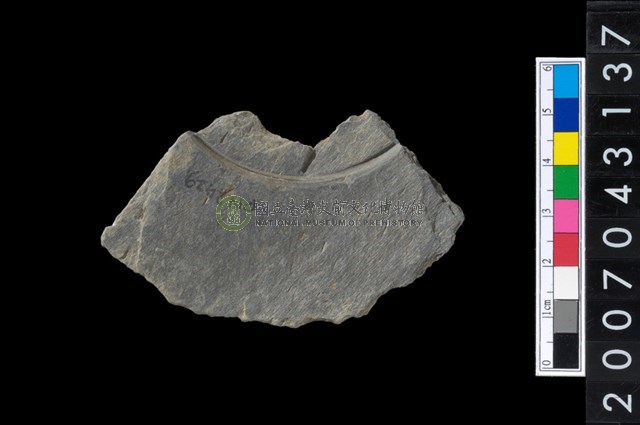 石環製作材料-中央帶啄孔與旋截痕打製圓板殘件