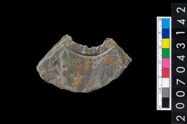 石環製作材料-中央帶啄孔與旋截痕打製圓板殘件