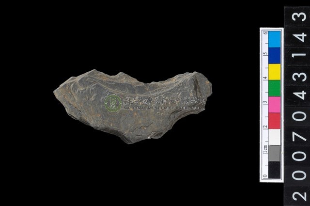 石環製作材料-中央帶啄孔與旋截痕打製圓板殘件