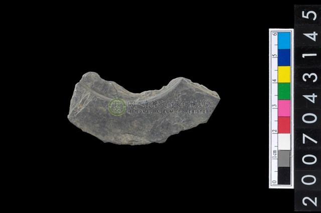 石環製作材料-中央帶啄孔與旋截痕打製圓板殘件