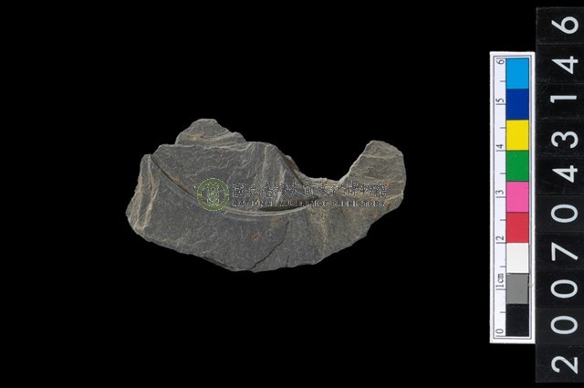 石環製作材料-中央帶啄孔與旋截痕打製圓板殘件