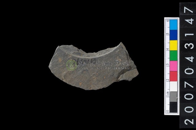 石環製作材料-中央帶啄孔與旋截痕打製圓板殘件