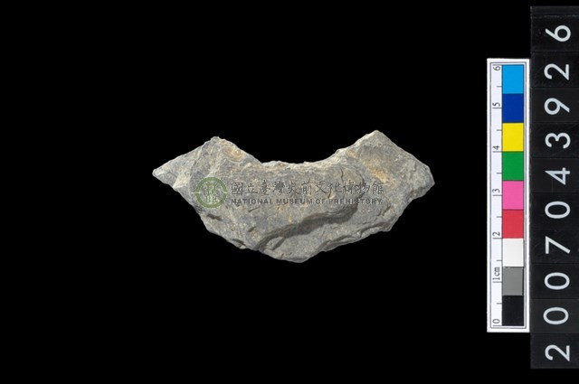 石環製作材料－周緣修整石環粗胚