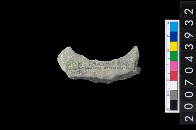 石環製作材料－周緣修整石環粗胚