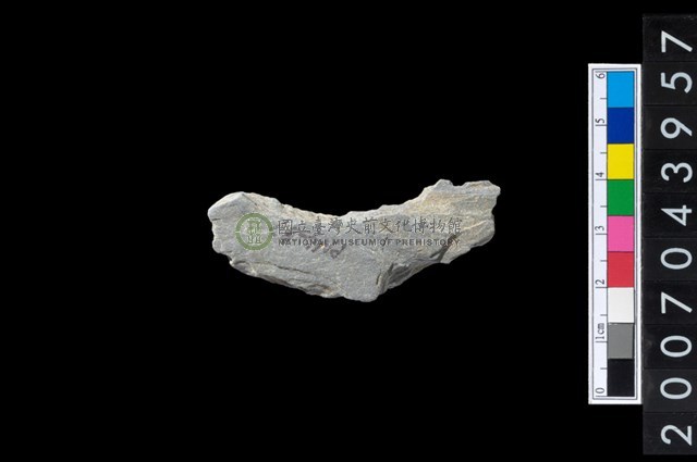石環製作材料-周緣修整石環粗胚