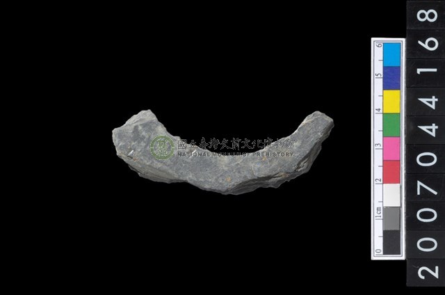 石環製作材料－周緣修整石環粗胚
