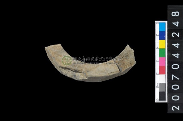 石環製作材料－帶搓磨痕石環粗胚