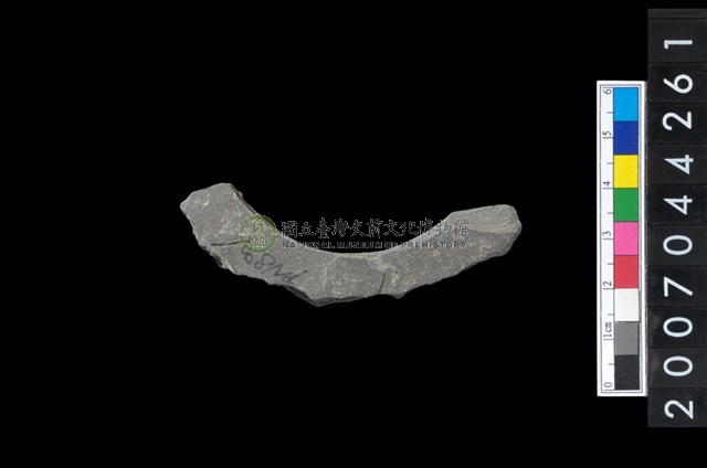 石環製作材料－帶搓磨痕石環粗胚