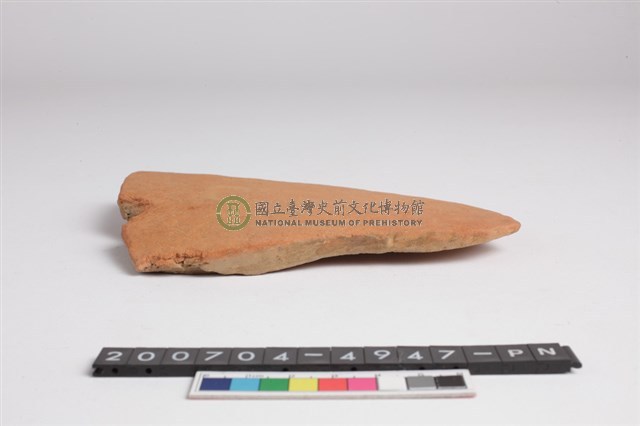 腹片
