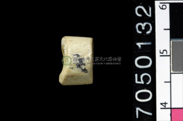 玉管珠