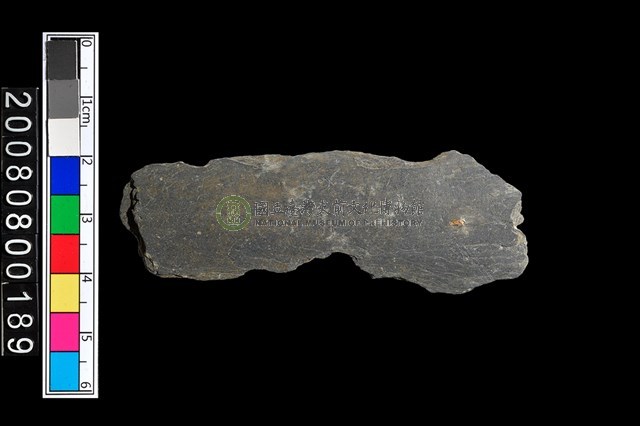 不明磨製石器殘件