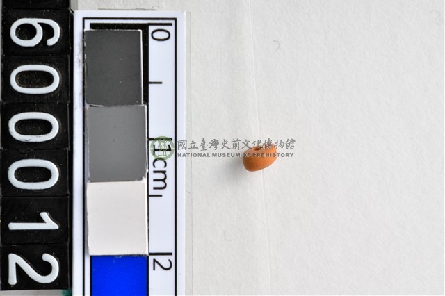 琉璃珠
