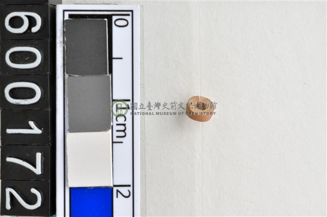 琉璃珠
