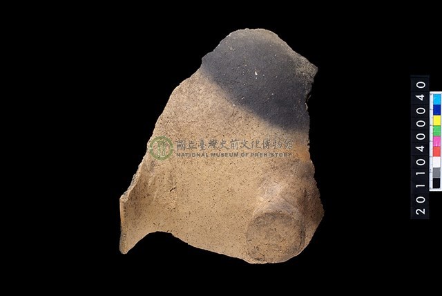 口緣帶鈕