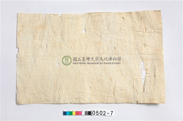 樹皮布樣本