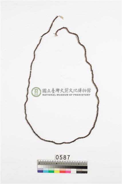 貝殼錢幣