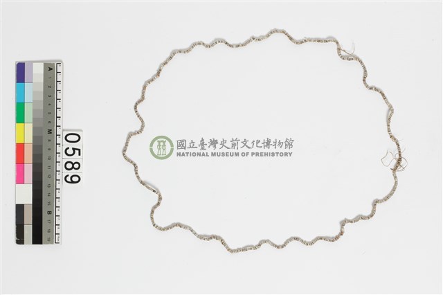 貝殼錢幣