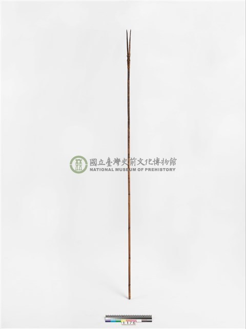 箭