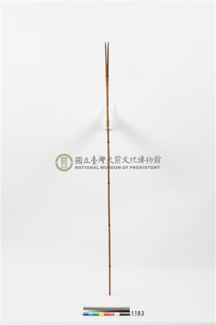 箭