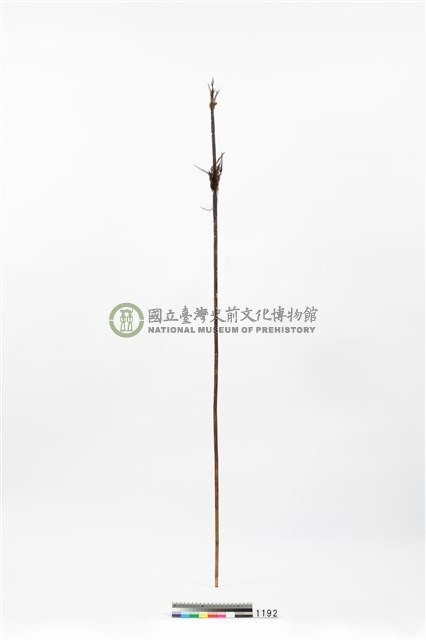 箭