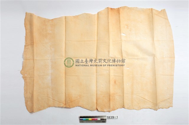 樹皮布