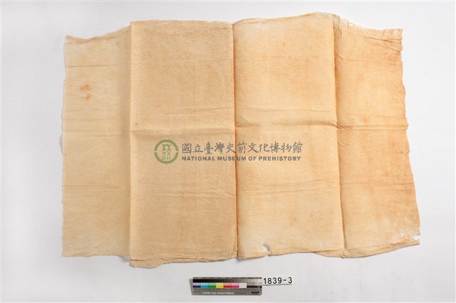 樹皮布