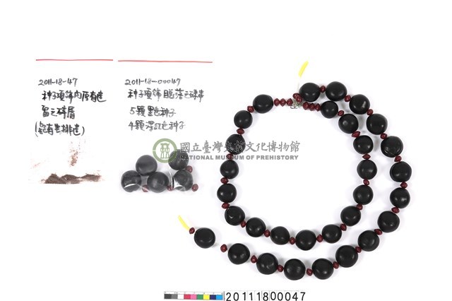 種子項飾
