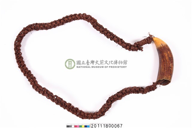 鯨牙項飾