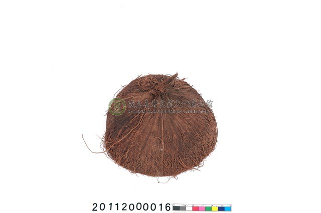 椰殼容器