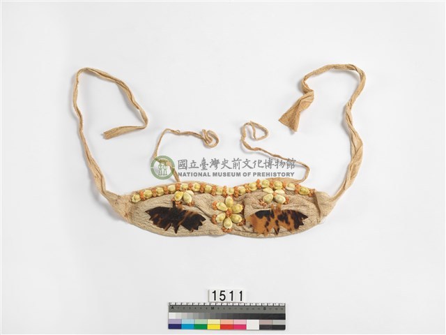胸罩