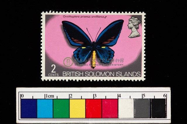 郵票