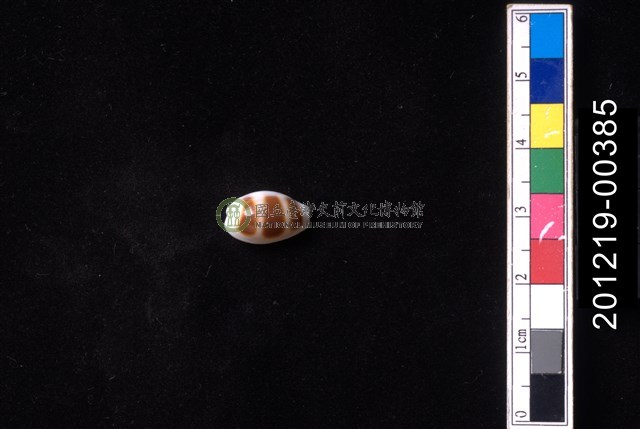浮標寶螺