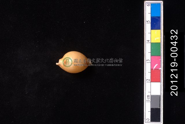 花珠寶螺