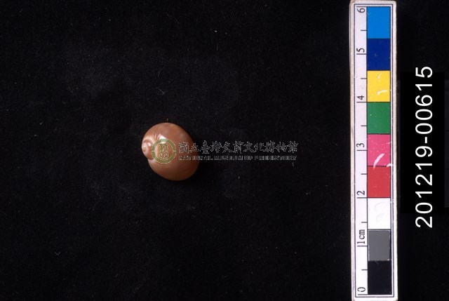 粉紅玉螺