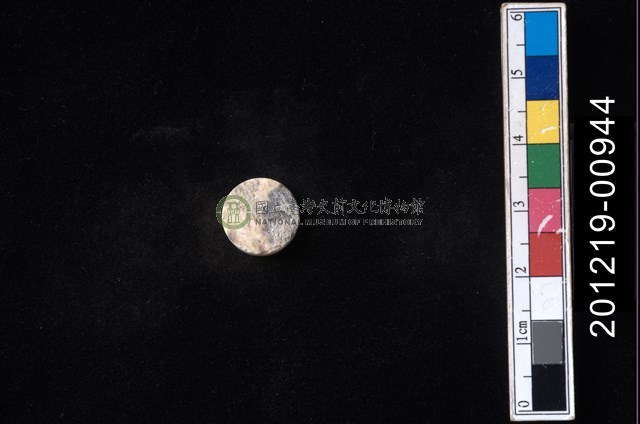 貝殼工藝品
