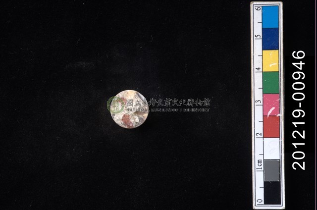 貝殼工藝品