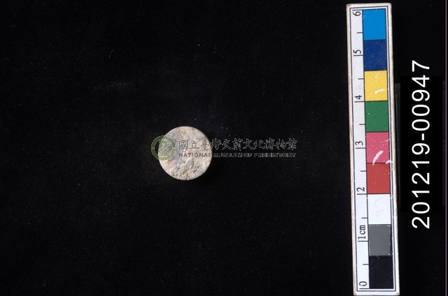 貝殼工藝品