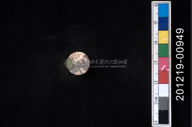 貝殼工藝品