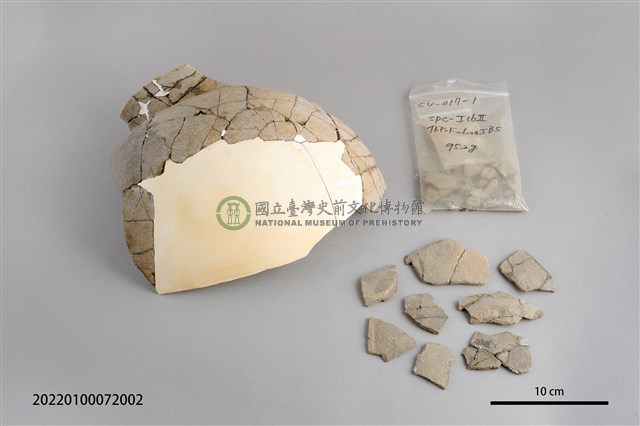 陶蓋片