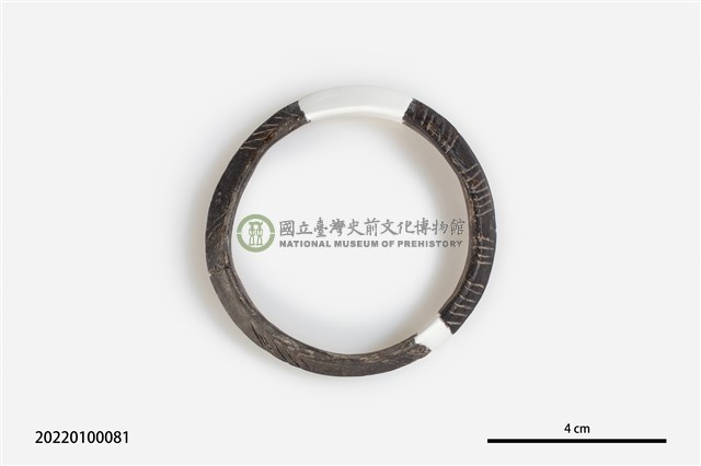 陶環