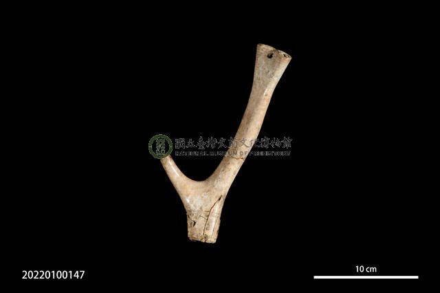 刻劃紋鹿角器