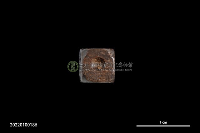 骨骰